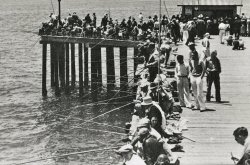 Newport.Pier_1945_1b.JPG