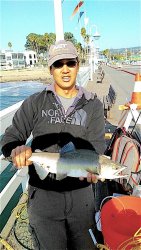 Pink.salmon_SCW_Roy.Q copy.jpg