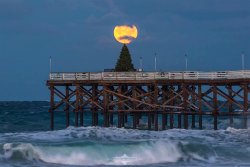 2015.12.27_Xmas_Crystal Pier.jpg