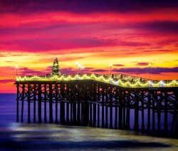2019.12_Xmas_Crystal Pier.jpg
