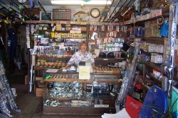 Wylies_2005_Merchandise_Ginny_6.jpg