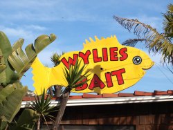Wylies_2012_Old Sign3.JPG