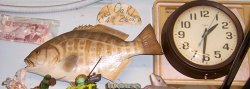 Wylies_Perch copy.jpg