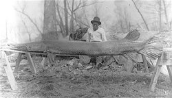Huge Gar.jpg