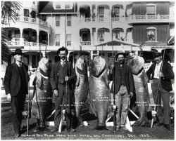 Del_Coronado_BSB_1905_1_2.jpg