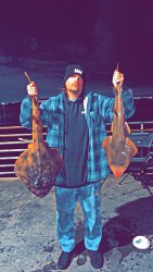 Shovelnose_SI Pier_Joey Destin.jpg