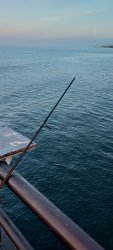 20260225_063353.jpg