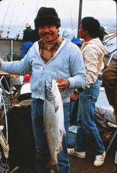 Salmon_Pacifica_Pier_1.JPG