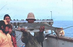 Striper_Pacifica_Pier_1.JPG