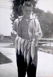 KJ_1962.7_Newport_trio of fish.1 (1).jpg