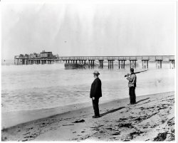 IBP_1910_1a.JPG