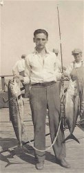 Yellowtail.1928.jpg