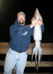 Balboa_Humboldt_Squid5_DomphaBen_2007.jpg