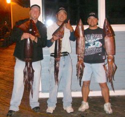H.Squid_Oceanside.P_2007_3.jpg