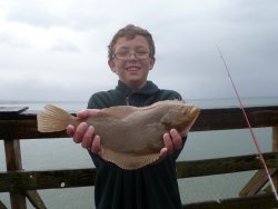 Sand.Sole_Capitola_2012.jpg