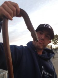 Yellow.Snake.Eel_Huntington.Harbor_2013_Tobias.Lopez_1a.jpeg