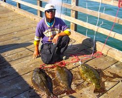 Halibut_Candlestick_2003_Stan_the_Man_1a.jpg