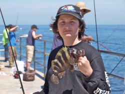 Cat_2011_Mole_Treefish_Ryan1.1.JPG