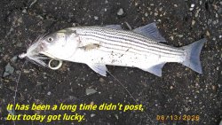 MarinaG1.JPG