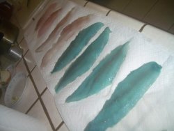 Blue Fillets.jpg