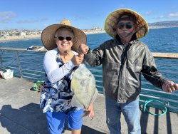 Triggerfish_Hermosa Beach Pier_2026.8.15_Claire Tu.jpg