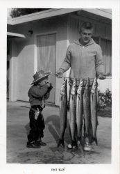 KJ_1963.4_John_Barracuda_1.JPG