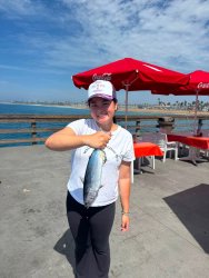 Bullet tuna_Balboa Pier_2026.8.29_Tiffany Vu.1.jpg