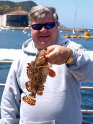 Scorpionfish_Cabrillo Mole_2010_KJ.1.jpg