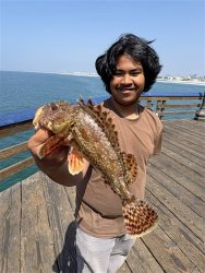 Scorpionfish_IBP.jpg