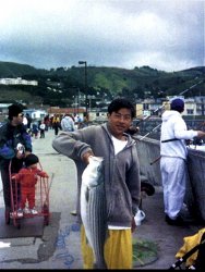Striped.Bass_Pacifica_1998_MattS_2.jpg