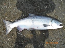 j7.JPG