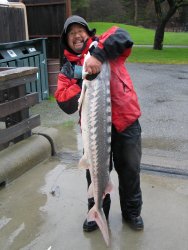 Sturgeon_McNear_2005.1.2_Mel.2_45 Lbs.jpg