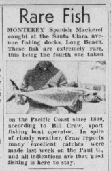Daily_News_1937_06_01_12.jpg