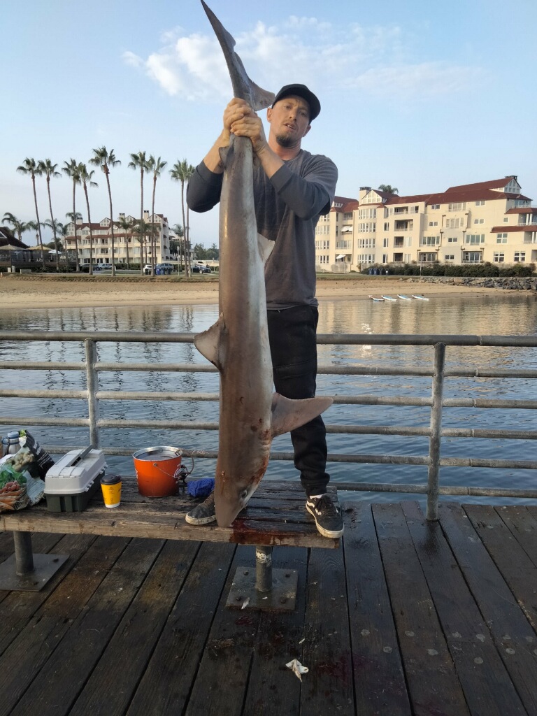 Coronado Ferry Landing Pier - Pier Fishing in California