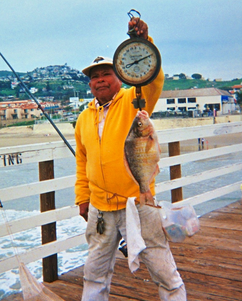 Barred Surfperch - Pier Fishing in California