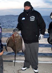 Bat.Ray_Berkeley.Pier_2015_MMD_1-216x300.jpg