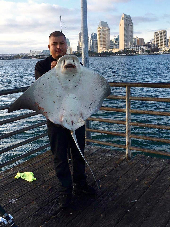 Coronado Ferry Landing Pier - Pier Fishing in California