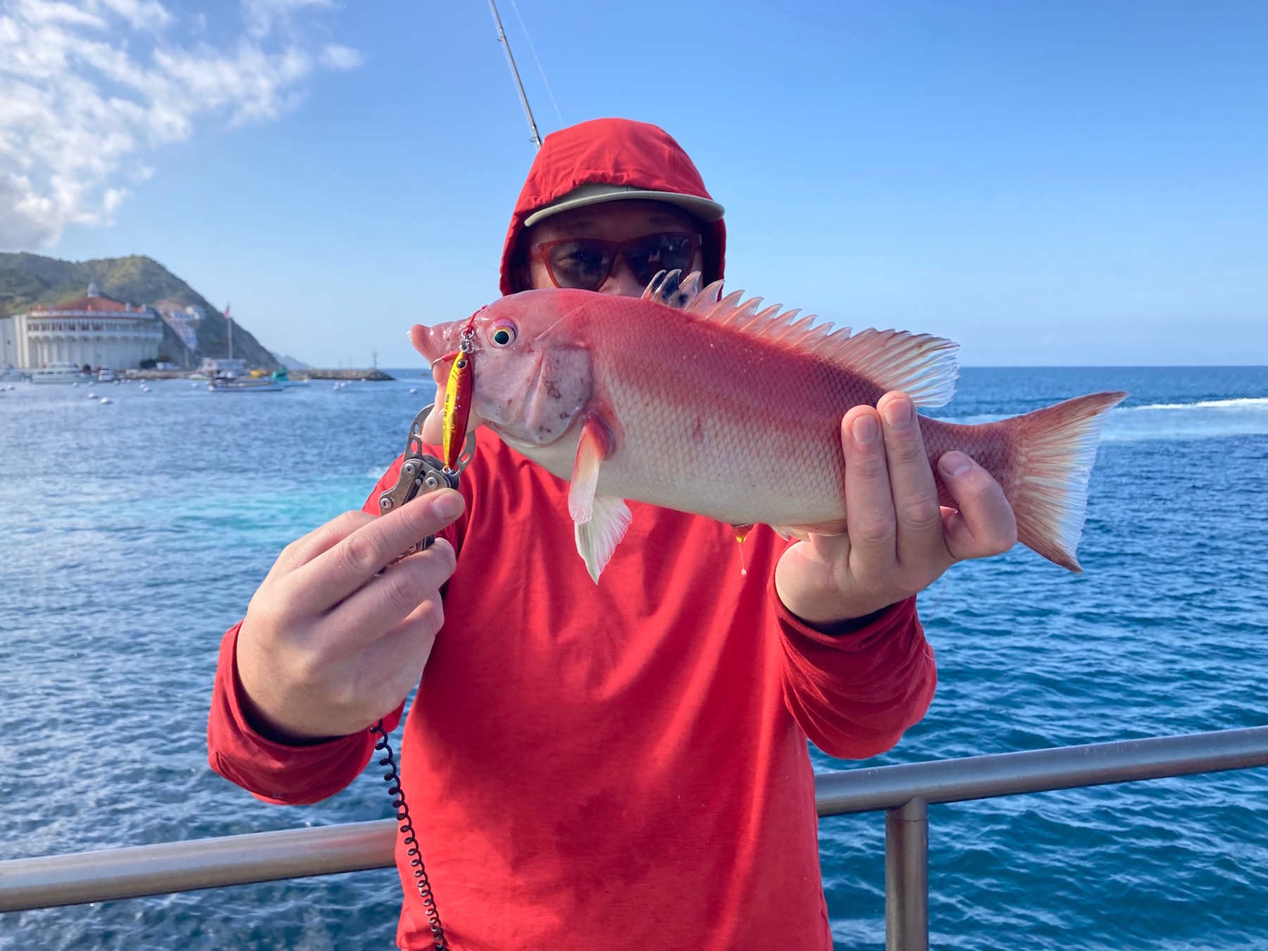 California Sheephead - Pier Fishing in California