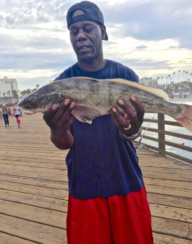 California Corbina Pier Fishing in California