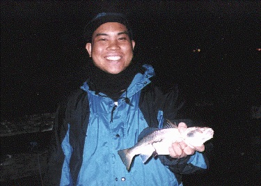 Venice Fishing Pier - Pier Fishing in California