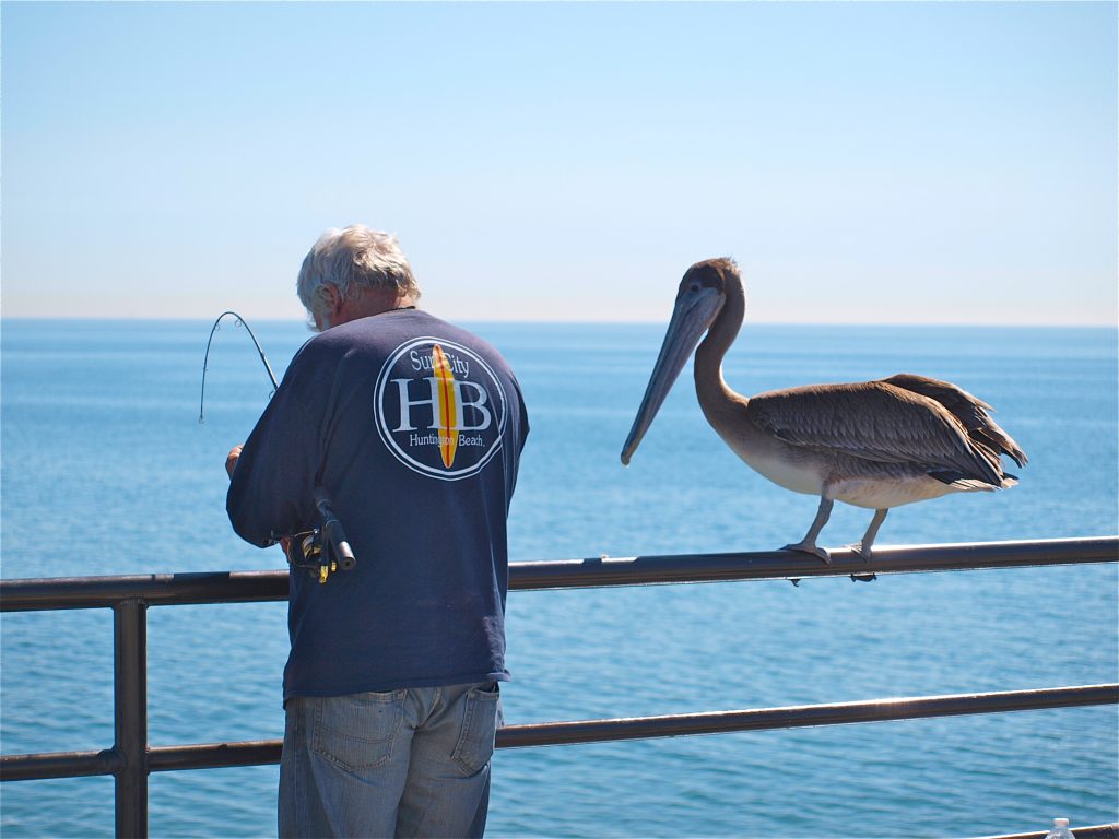 Huntington Beach Pier Pier Fishing in California
