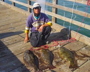 California Halibut - Pier Fishing in California