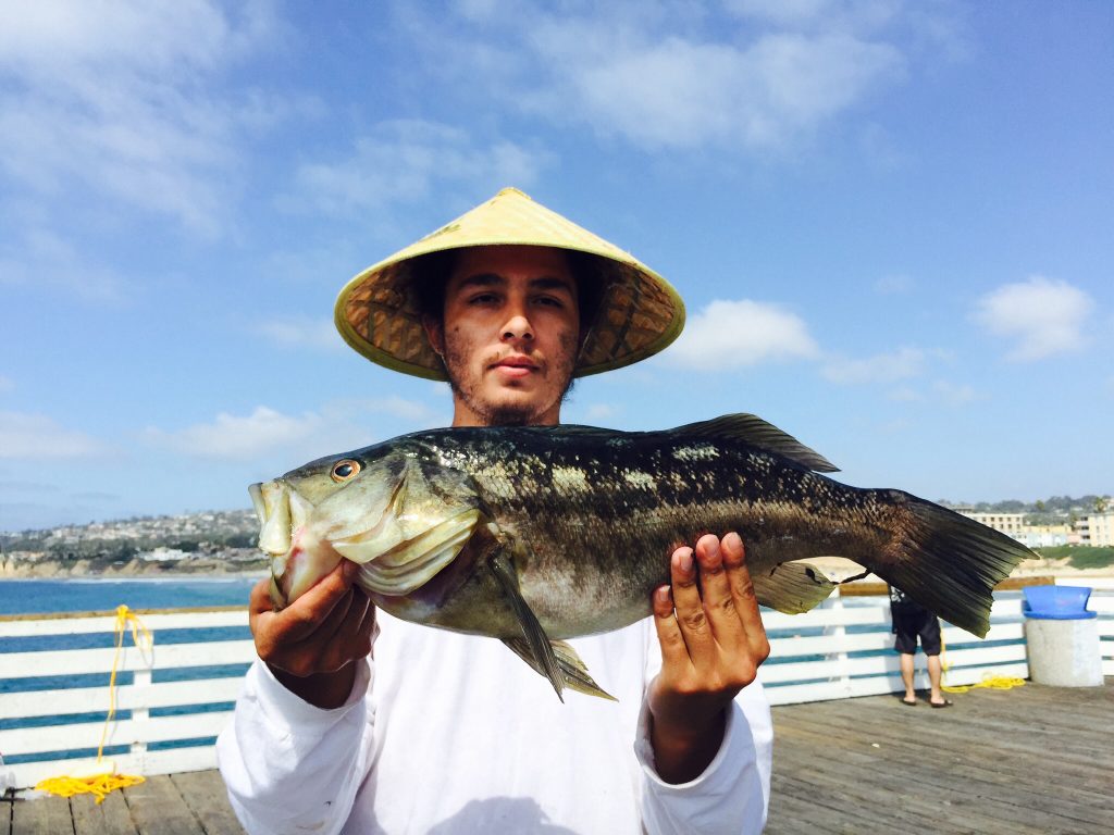 Kelp Bass Pier Fishing in California