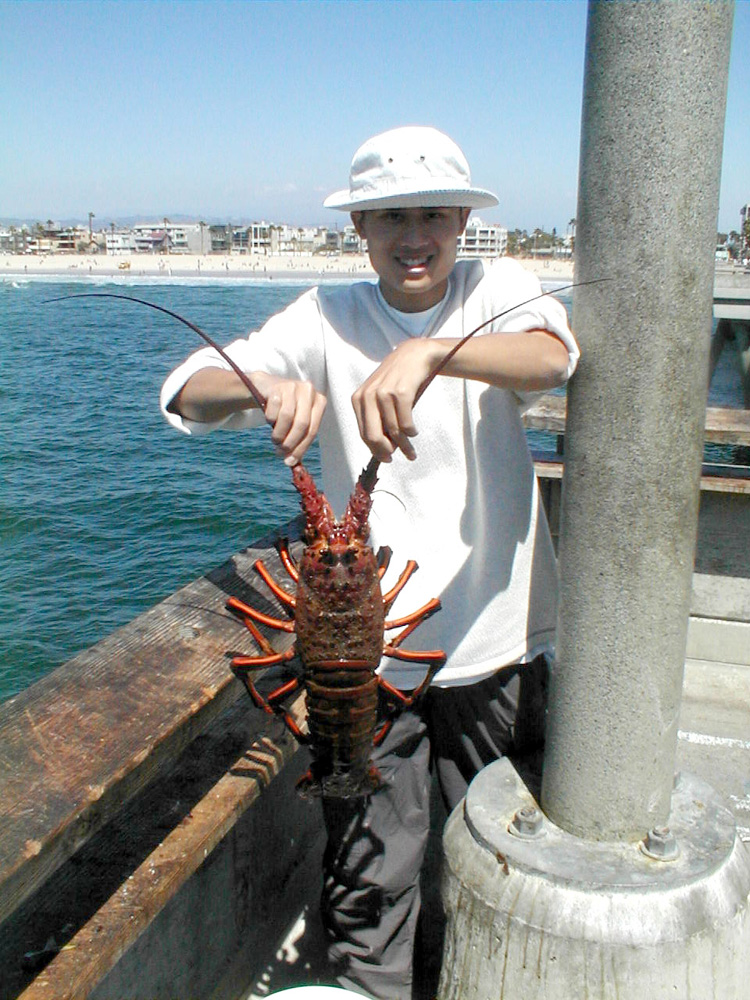 California Spiny Lobster - Pier Fishing in California