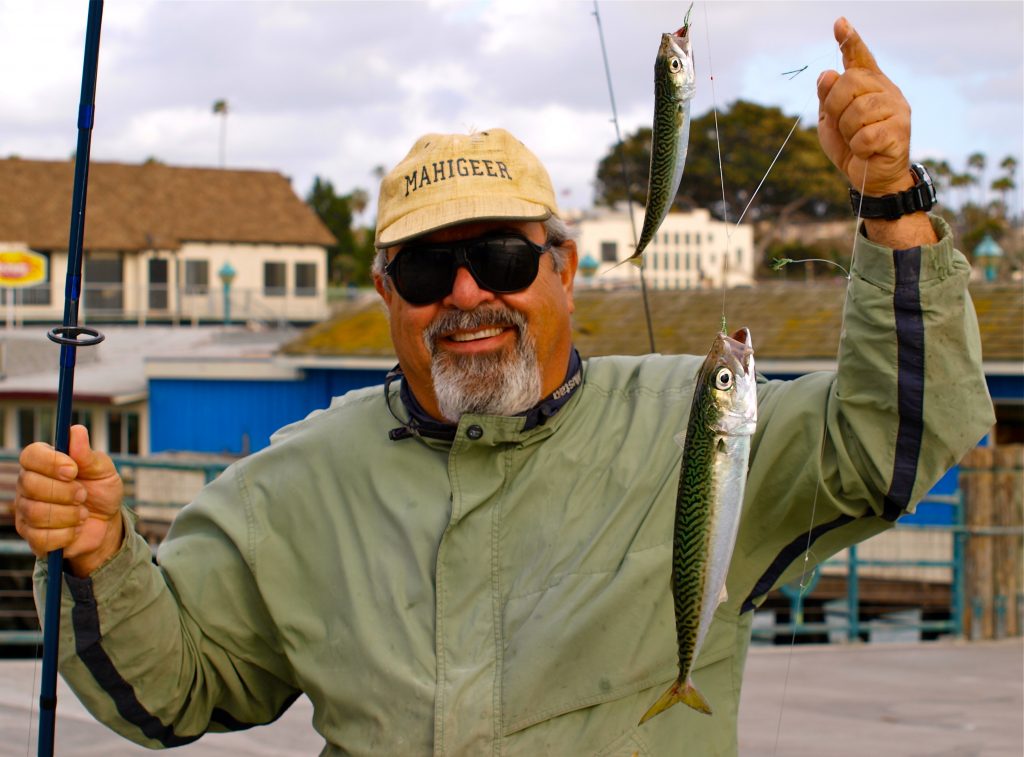 Pacific Chub Mackerel Pier Fishing in California