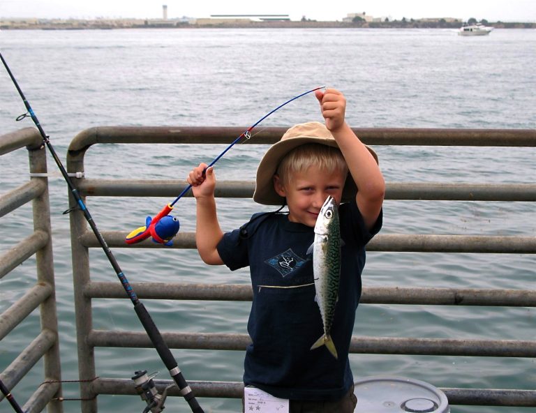 Pacific Chub Mackerel Pier Fishing in California