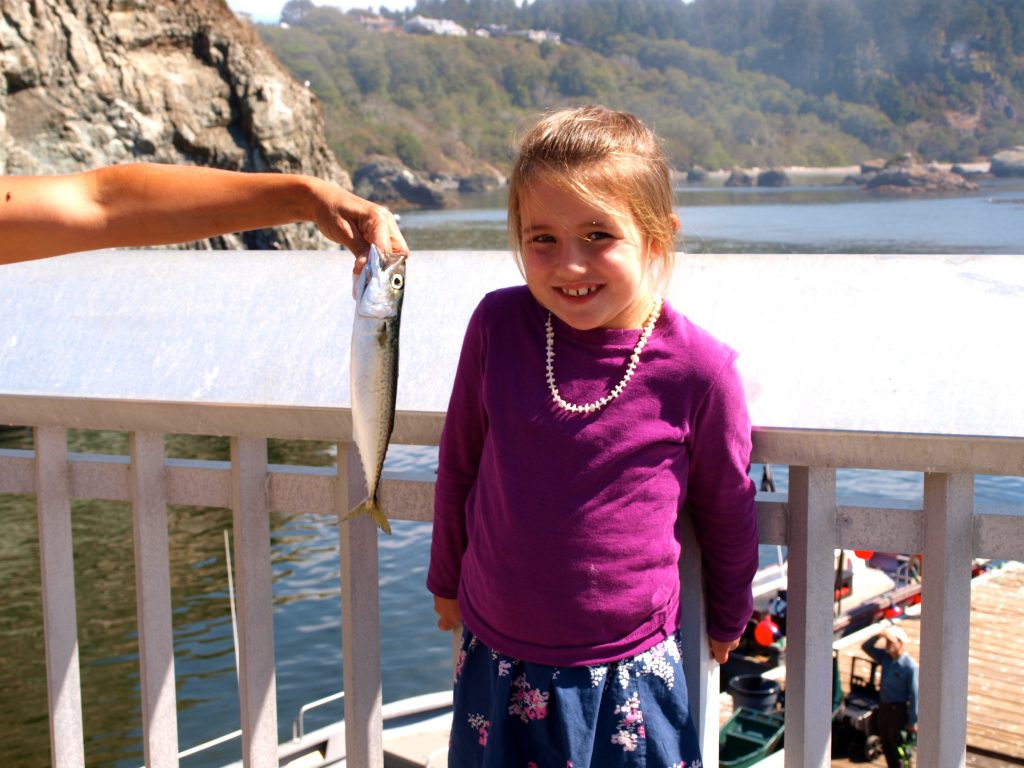 Pacific Chub Mackerel Pier Fishing in California