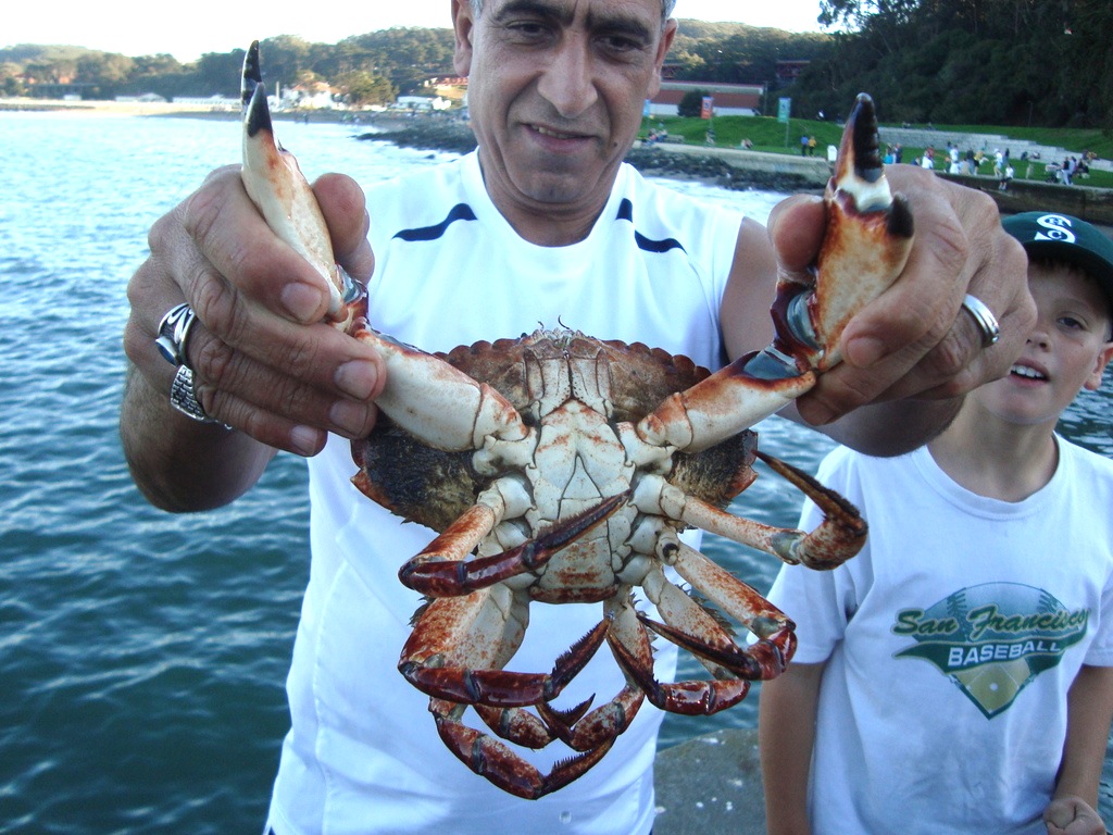 Режим краба. Red Rock Crab. Краб Брэди. Калифорнийский краб. Охота на крабов.