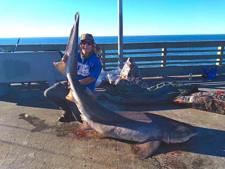 Ocean Beach Pier — San Diego - Pier Fishing in California