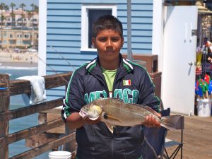 BLOOD WORMS FISHBITES! Spotfin croakers #sandiegofishing oceanside